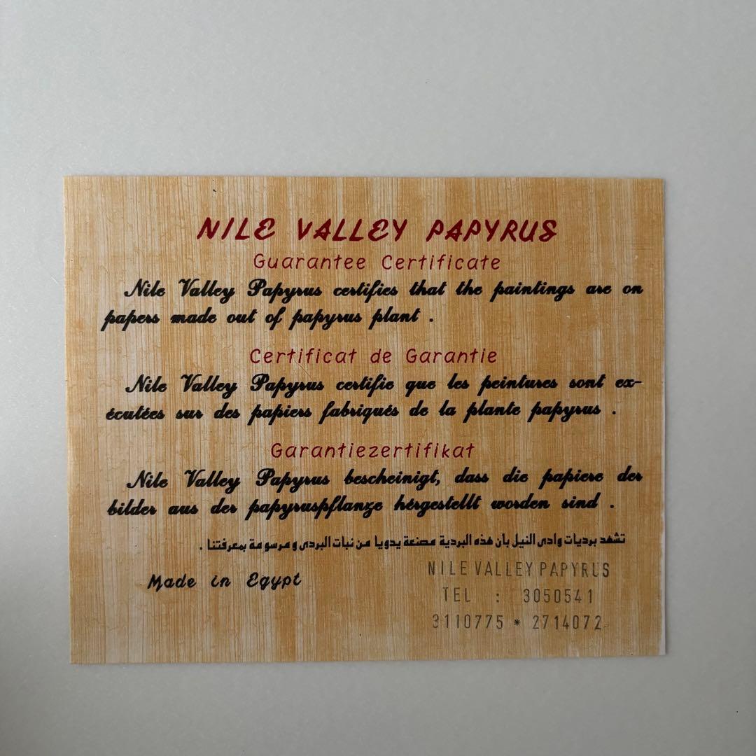 エジプト　パピルス　ポストカード大サイズ　6枚セット　ビニールケース付き