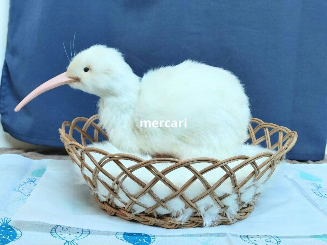 アートドール「白変種のキーウィ」art doll作家ぬいぐるみ