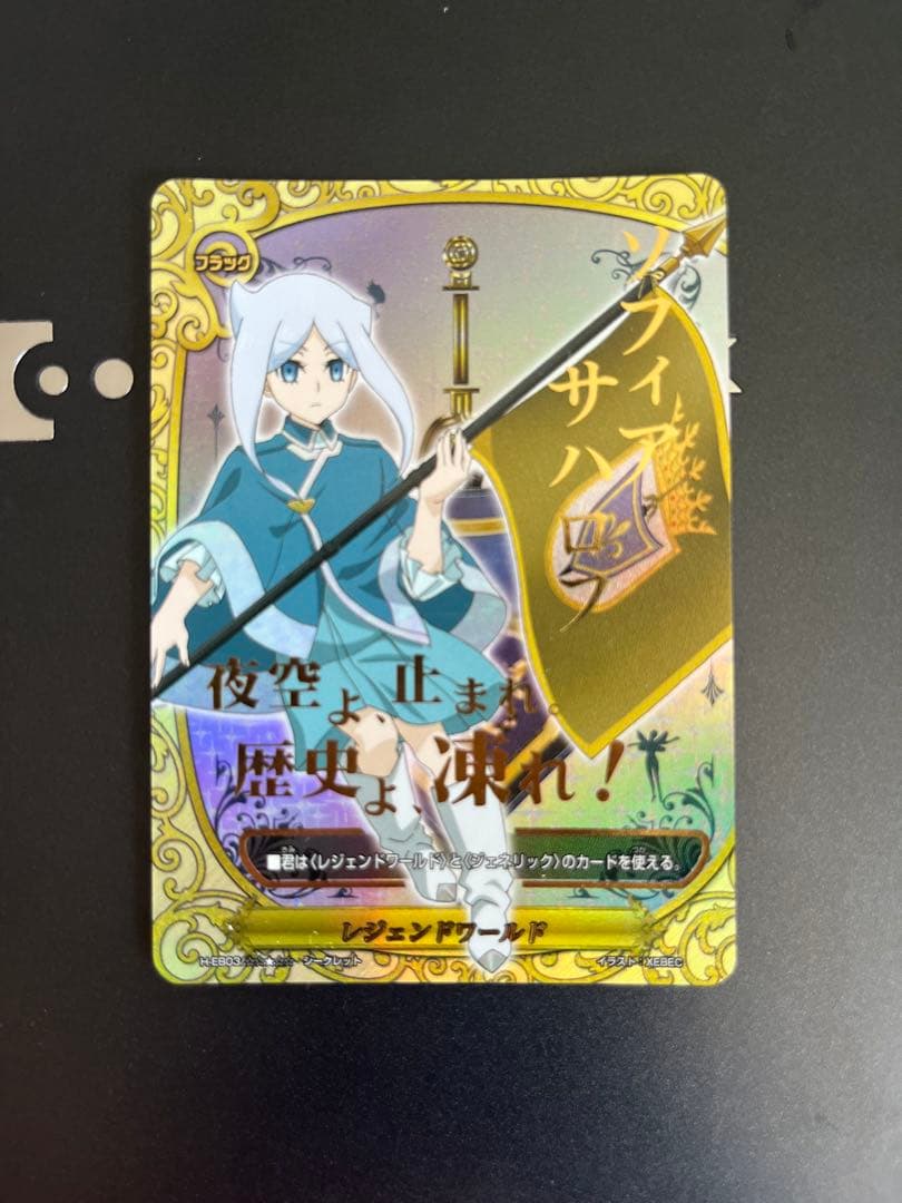 バディファイト　ソフィア・サハロフ　ブラック