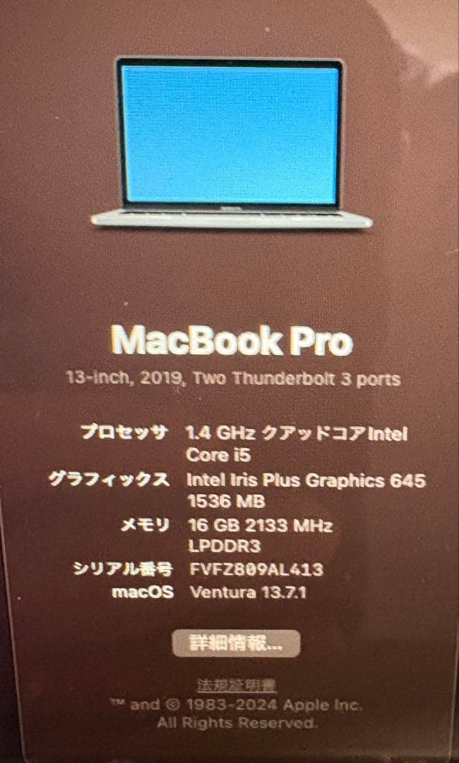 ジャンク品　MacBook Pro 2019 13inch
