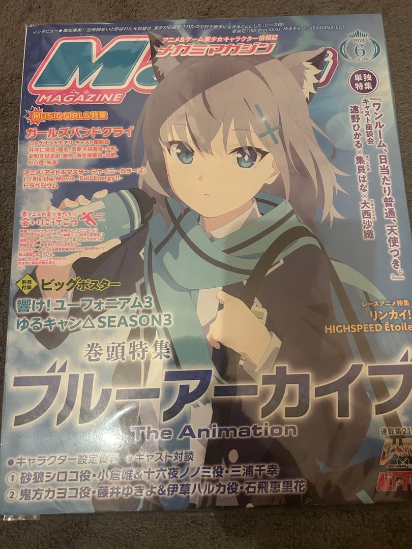 アニメ 美少女 ピンナップポスター 150枚～