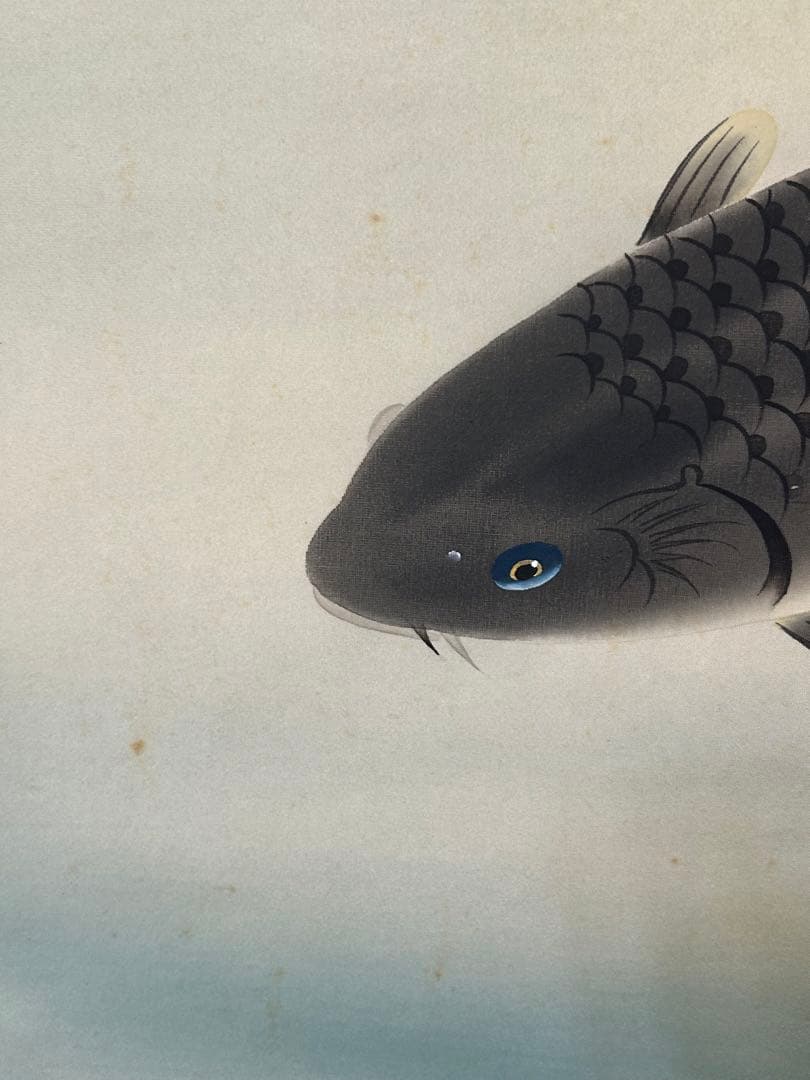 「夫婦鯉」　柳原遊子　掛け軸 掛軸 共箱あり　真筆証明書付き