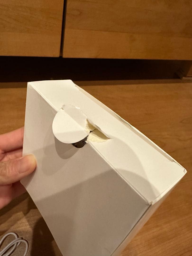 NIZIU ペンライト ミイヒ