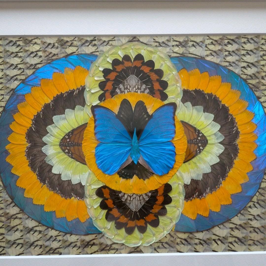 モルフォ蝶　貼り絵　芸術品