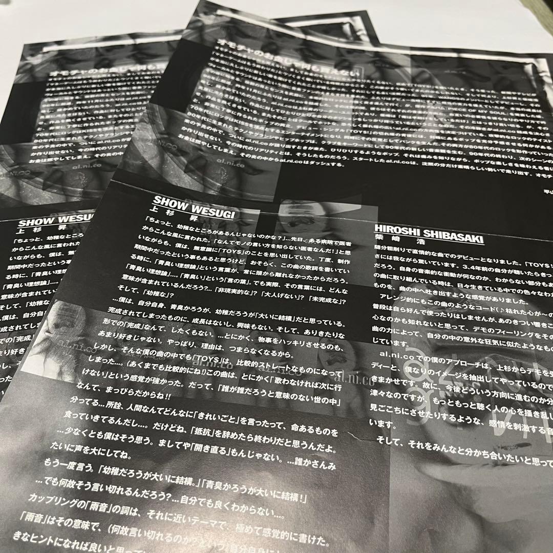 WANDS LIVE-JUNK ♯2 パンフレット