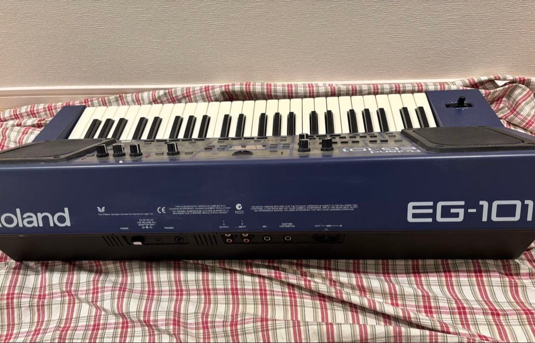 Roland EG-101 グルーブキーボード　【ハードケース付】