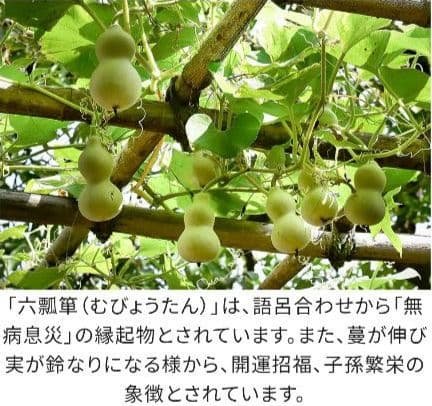 雀と六瓢箪
