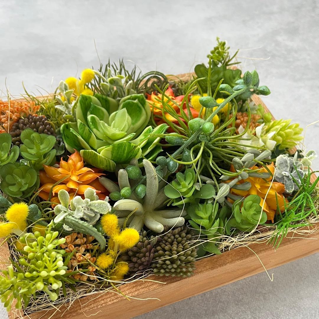 おまとめご希望のアレンジメント3点/多肉植物のナチュラルフレーム