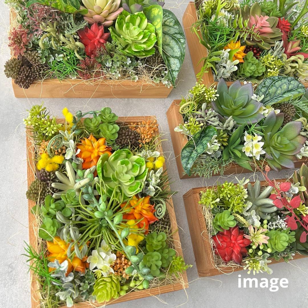 おまとめご希望のアレンジメント3点/多肉植物のナチュラルフレーム