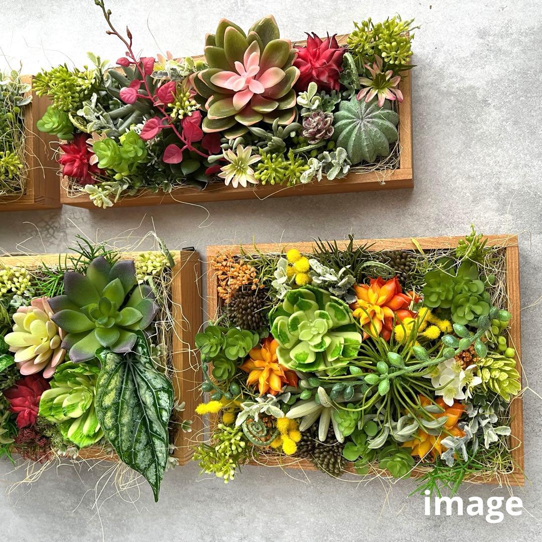 おまとめご希望のアレンジメント3点/多肉植物のナチュラルフレーム