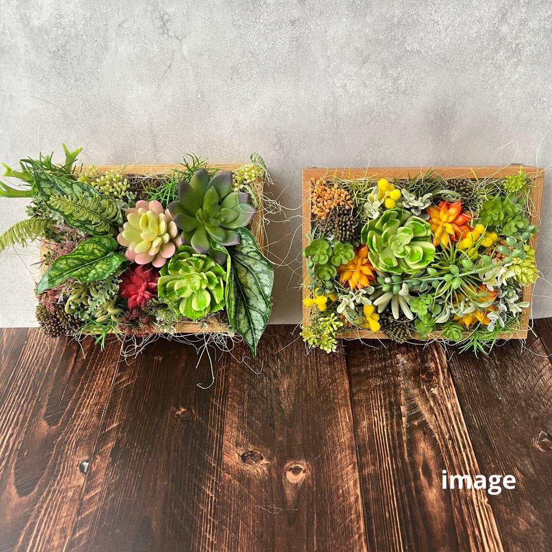 おまとめご希望のアレンジメント3点/多肉植物のナチュラルフレーム