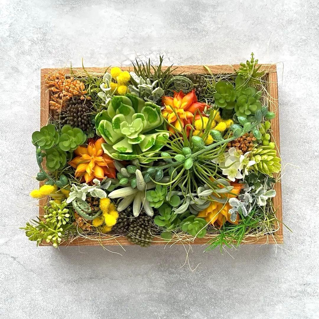 おまとめご希望のアレンジメント3点/多肉植物のナチュラルフレーム