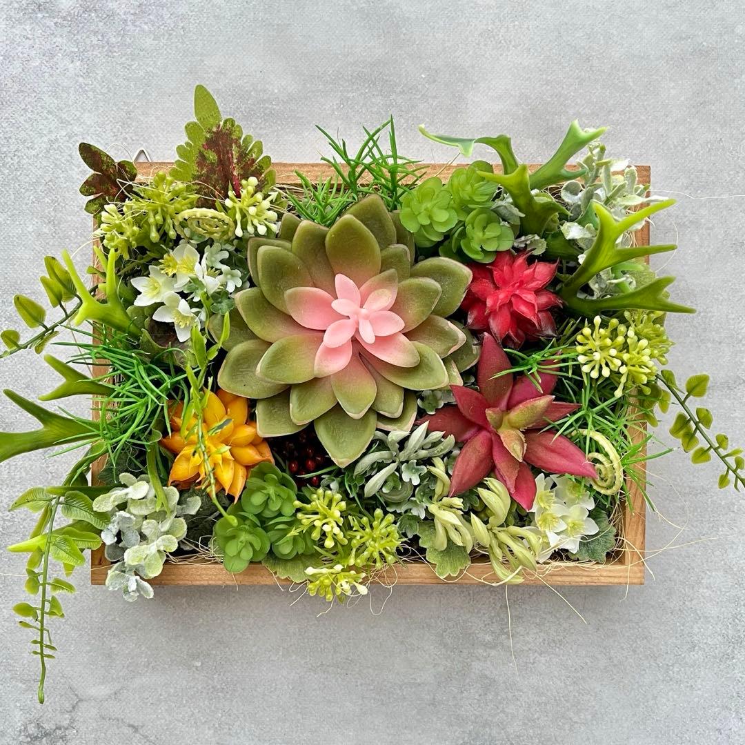 おまとめご希望のアレンジメント3点/多肉植物のナチュラルフレーム