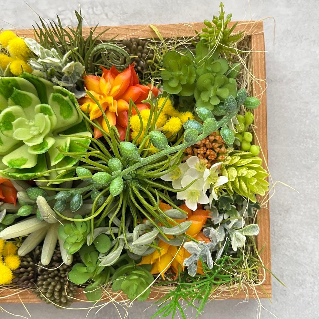 おまとめご希望のアレンジメント3点/多肉植物のナチュラルフレーム
