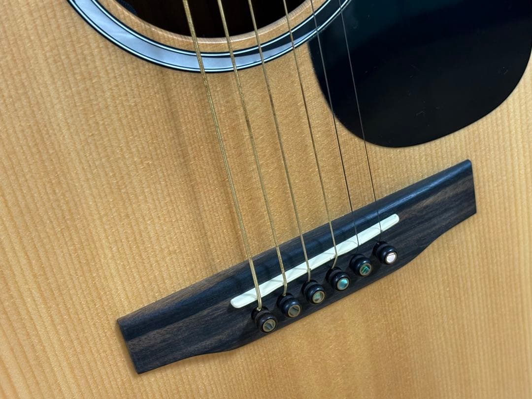 Martin SC-10E-01 エレアコギター　マーチンセミハードケース付