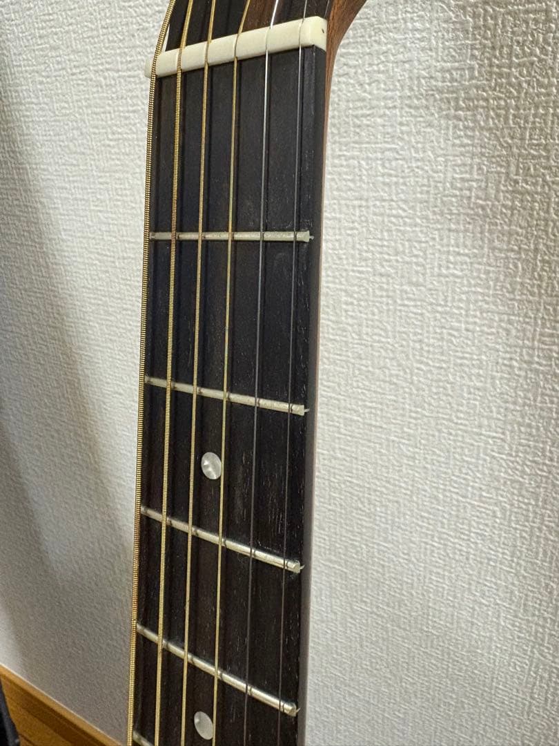 Martin SC-10E-01 エレアコギター　マーチンセミハードケース付