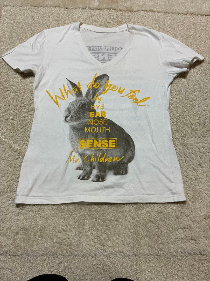 Mr.Children ツアーTシャツ11枚（バラ売り可、サイズばらばら）