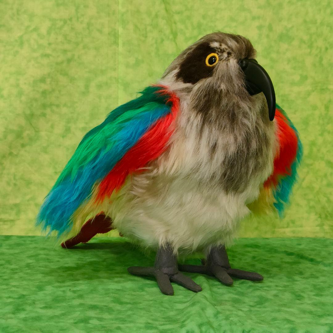 ハンドメイド　ぬいぐるみ　ミヤマオウム