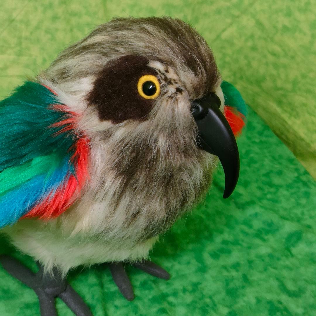 ハンドメイド　ぬいぐるみ　ミヤマオウム