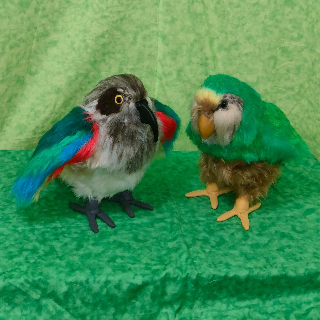 ハンドメイド　ぬいぐるみ　ミヤマオウム