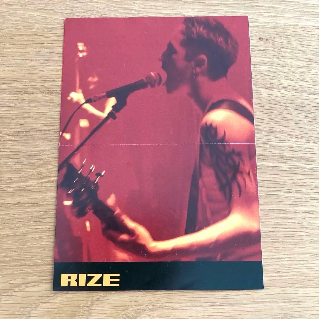 貴重◆RIZE メンバー直筆サインフライヤー JESSE 金子ノブアキ 当選品