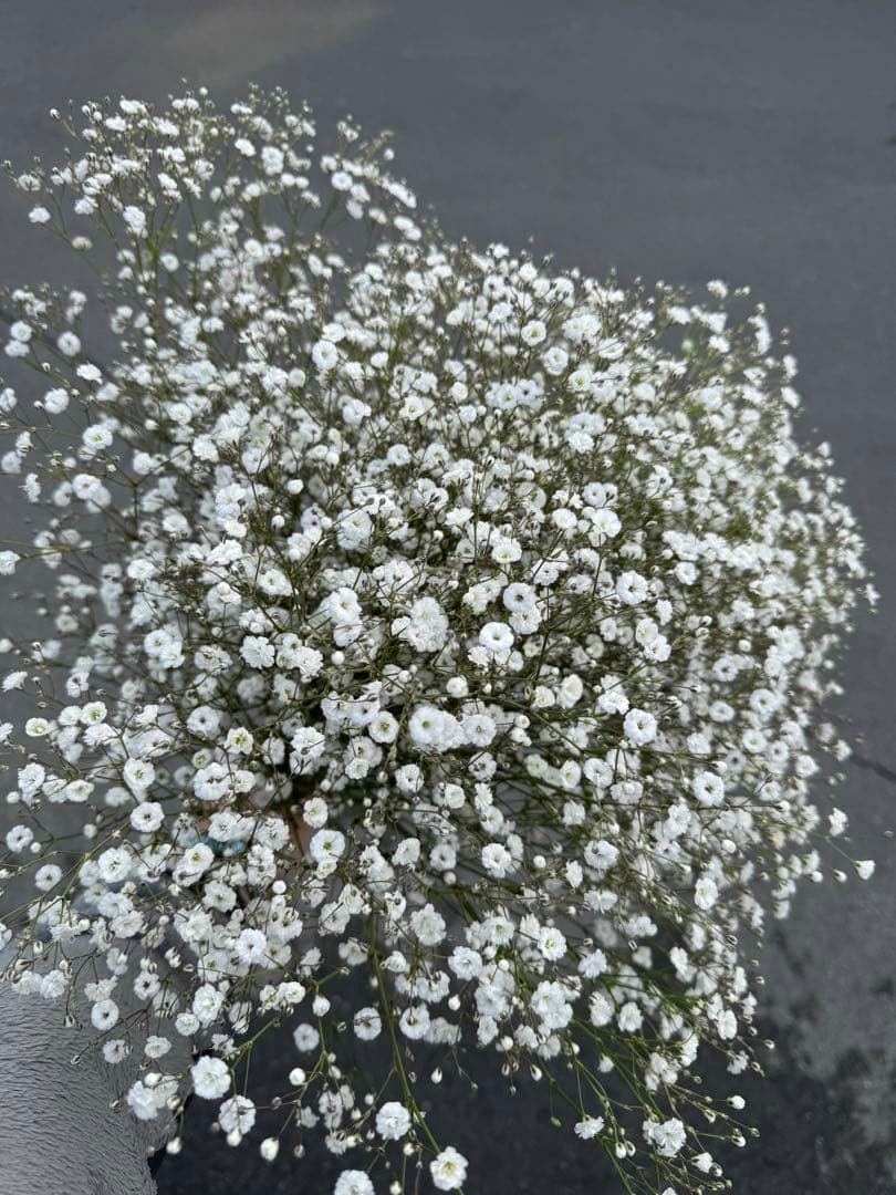 メル32265様 リクエスト 2点 まとめ商品