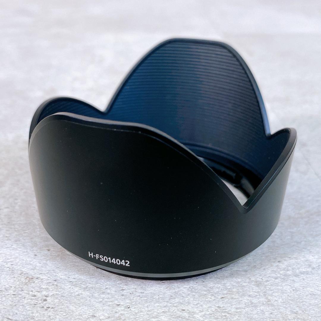 Panasonic パナソニック LUMIX GF2 ダブルレンズセット