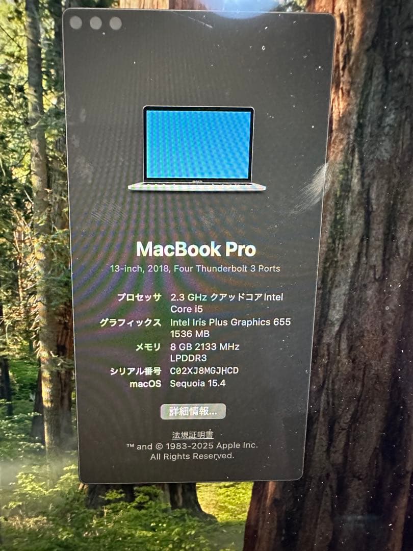 Apple MacBook Pro シルバー 本体