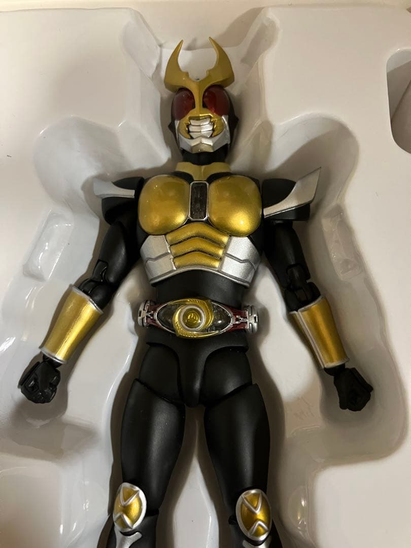 S.H.Figuarts (真骨彫製法) 仮面ライダーアギト グランドフォーム