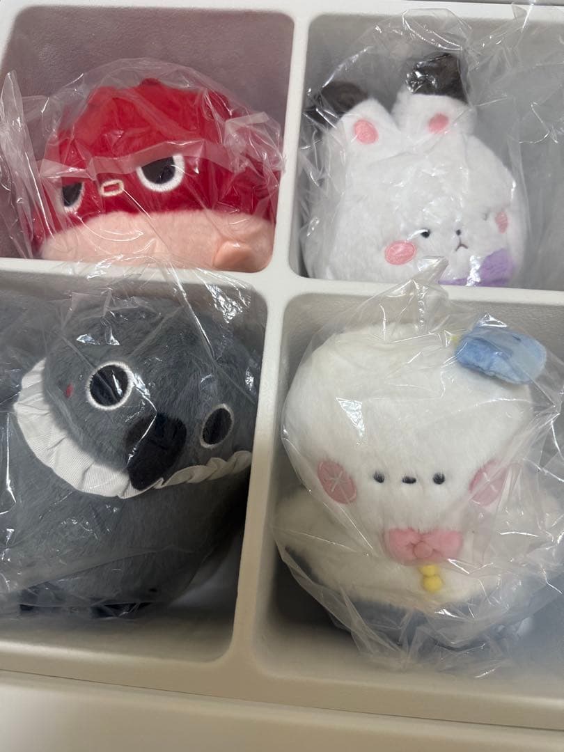 宵宵 恋と深空 VIPBOX VIP ボックス フルセット 2024年