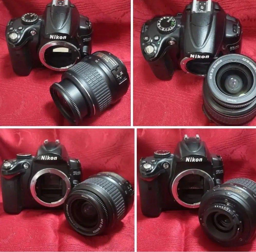 もちもちクマ Nikon D5000 デジタル一眼レフカメラ/動作品