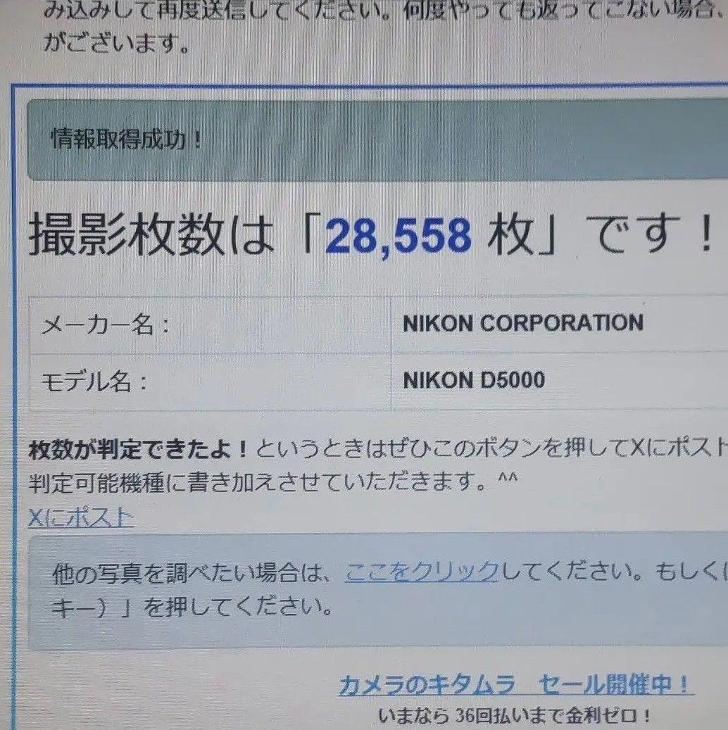 もちもちクマ Nikon D5000 デジタル一眼レフカメラ/動作品