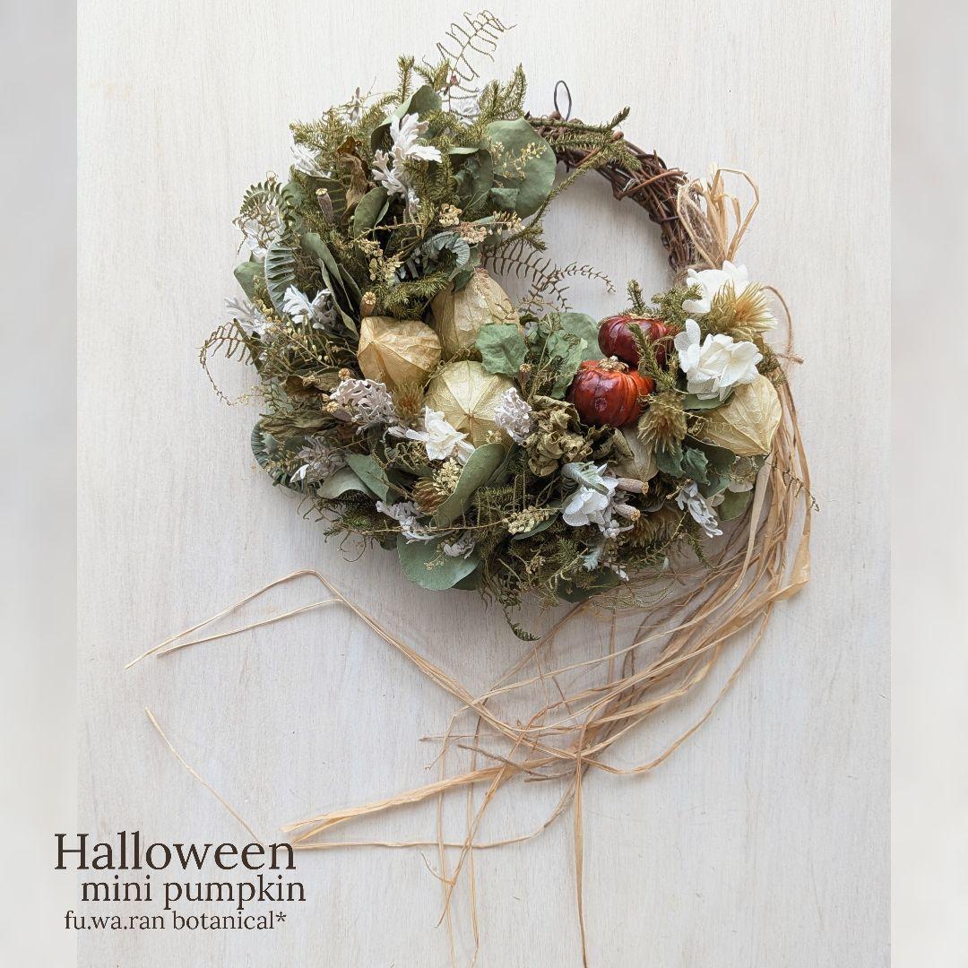専用＊Halloweenミニパンプキン＆グリーンホオズキ  ドライフラワーリース