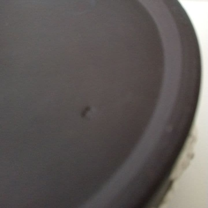 ヴィンテージ　ウェッジウッド　ジャスパー　ブラック　蓋付き小物入れ