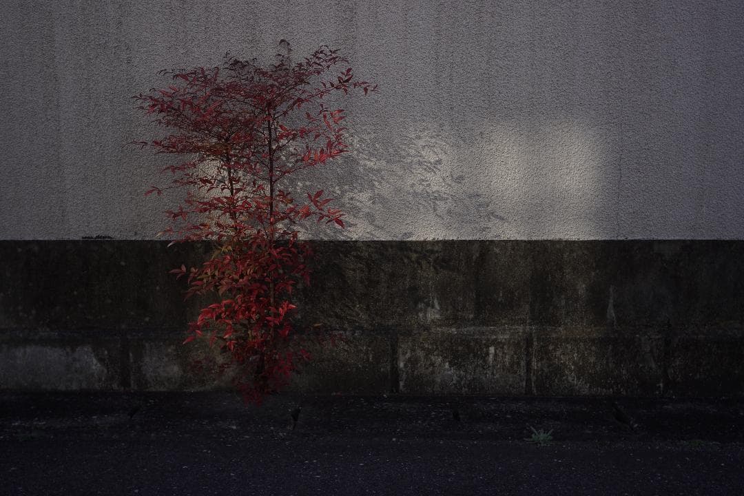 VILTROX AF 28/4.5 FE ソニーEマウント