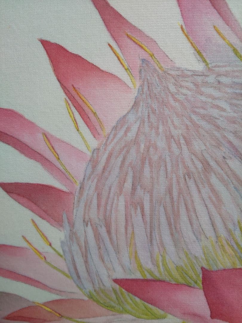 絵画 額縁付 プロテア protea