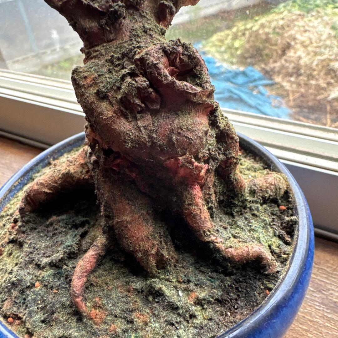 人工植物 盆栽風 緑 赤