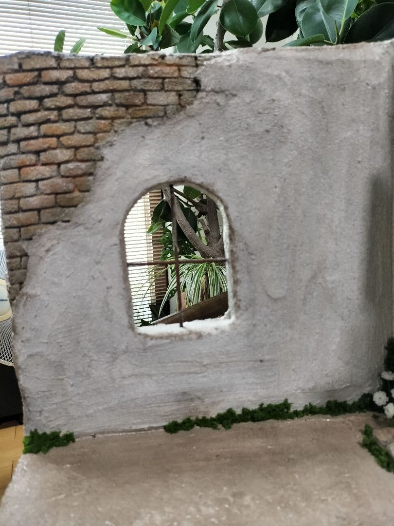 モルタル背景　撮影スポット　多肉植物　ドル活　モルタル　イギリスの風景