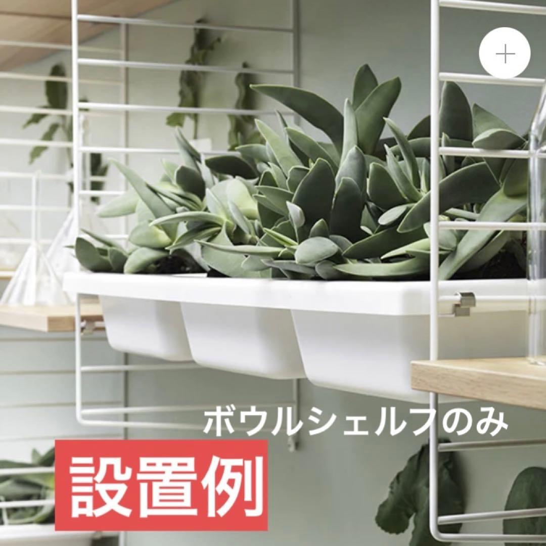 actus取扱　string furniture ボウルシェルフ　北欧家具
