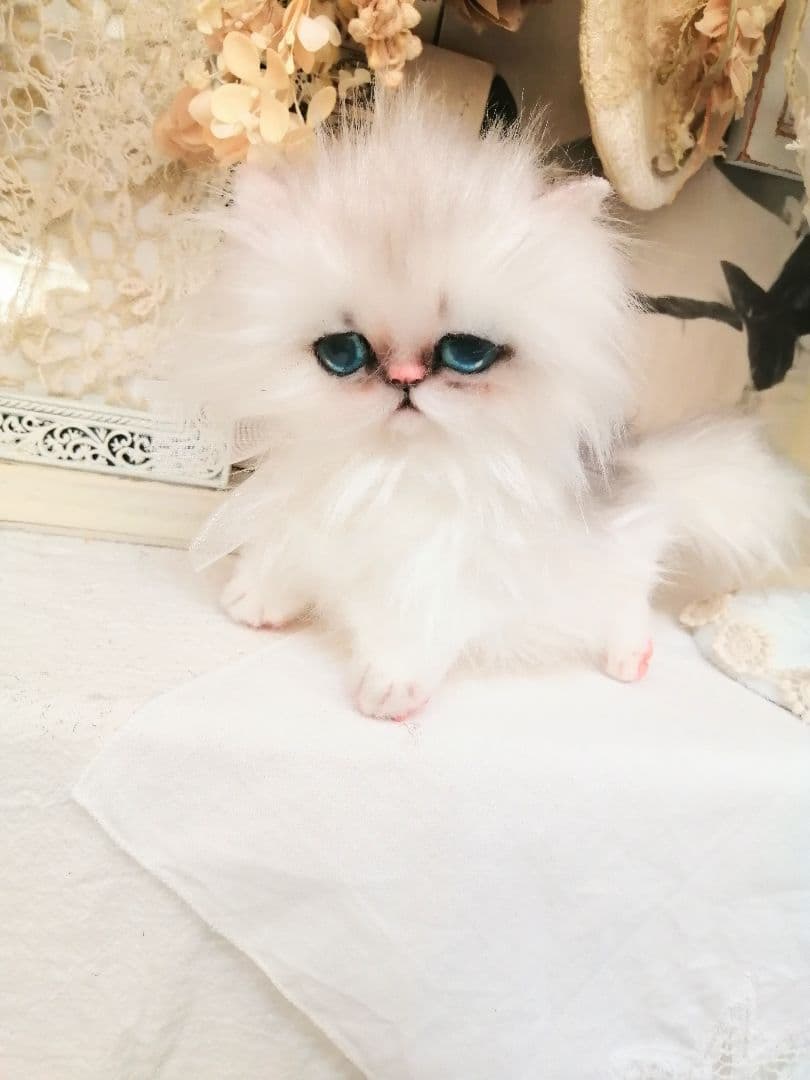 おっとり女の子♡ペルシャ子猫ちゃん♡アートドール♡ぬいぐるみ♡ネコ♡薔薇 ベビー