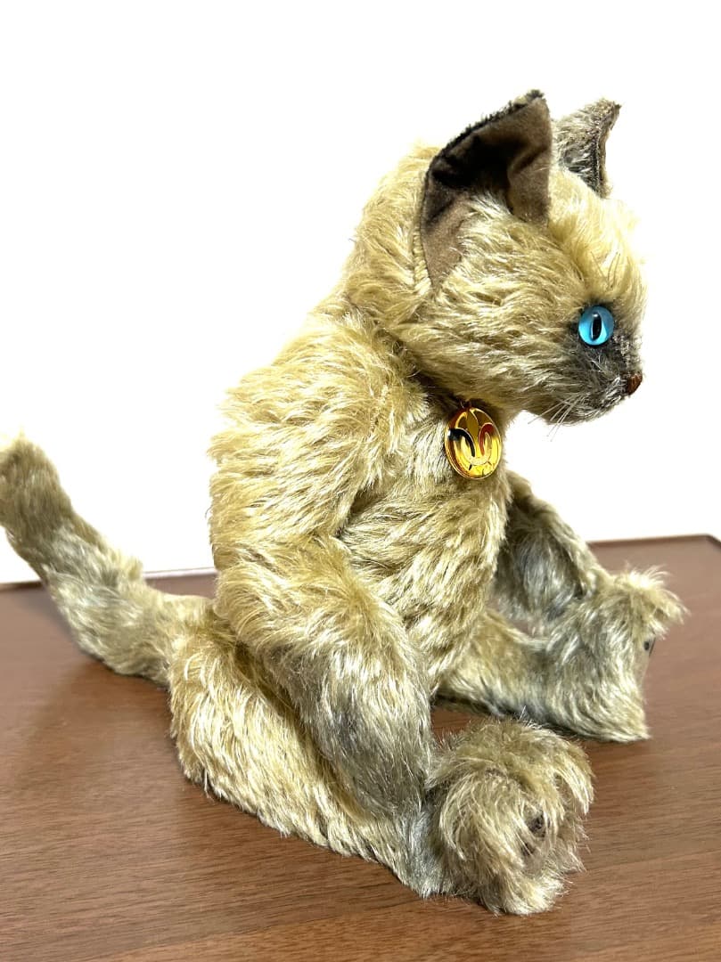 海外作家　シャム子猫ちゃん　ベルギー Lily Bear siam kitten