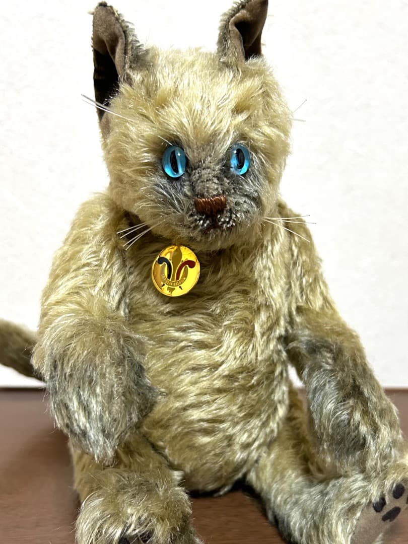 海外作家　シャム子猫ちゃん　ベルギー Lily Bear siam kitten
