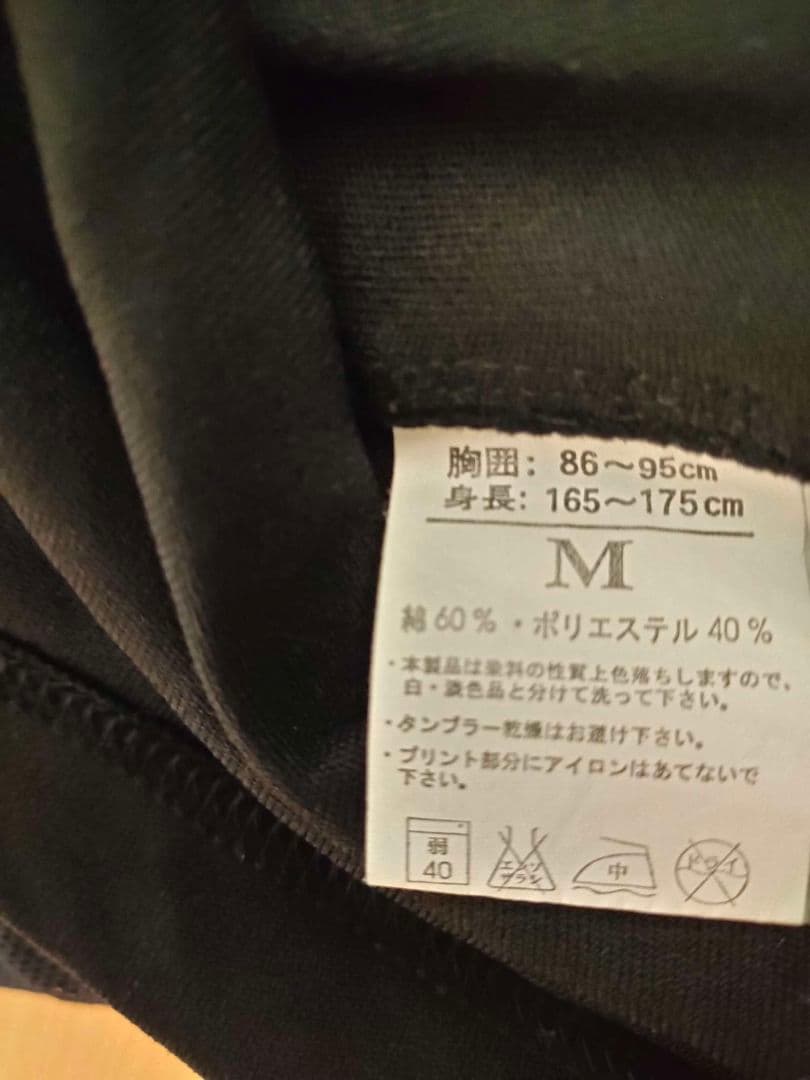 【激レア】カプコン公式 私立ジャスティス学園 カプコンアートワークス　風間あきら