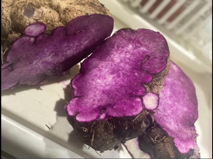 フラワー・ガーデニング Sample