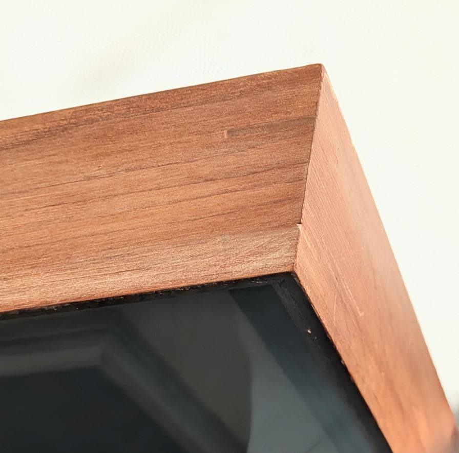 油絵「水面の樹」田中将寛作 （額装済み）