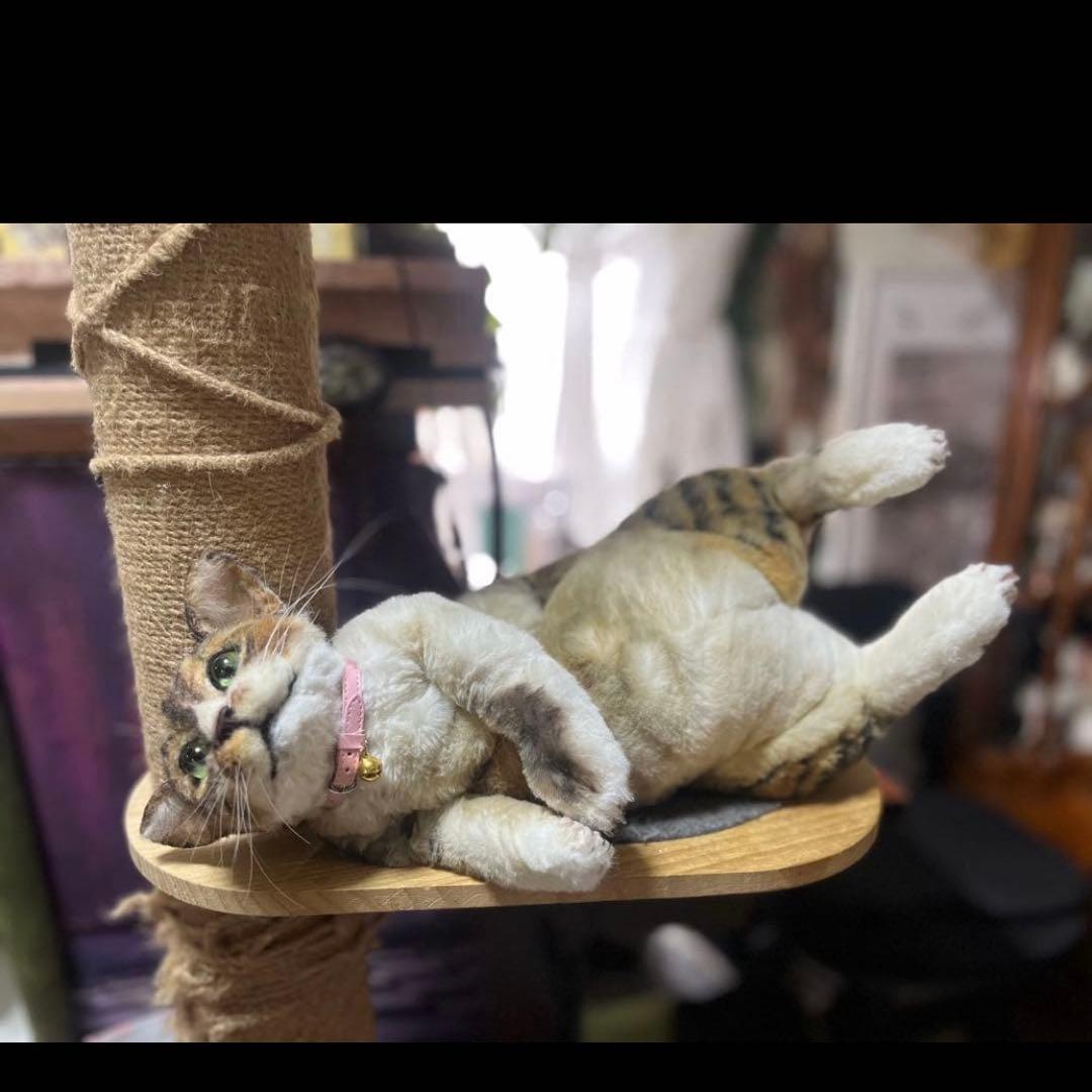 猫 リアルオーダーメイド