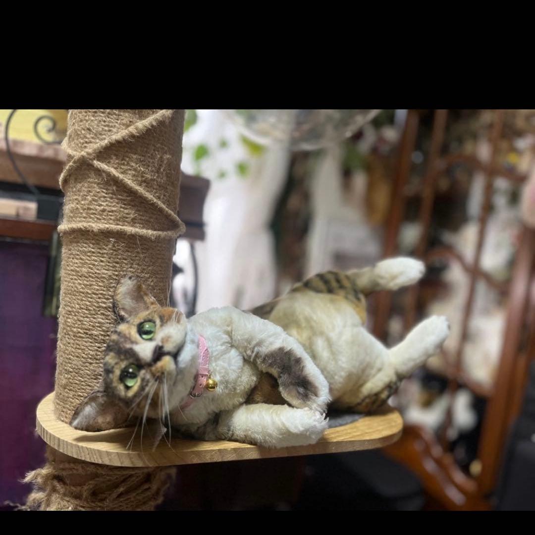 猫 リアルオーダーメイド