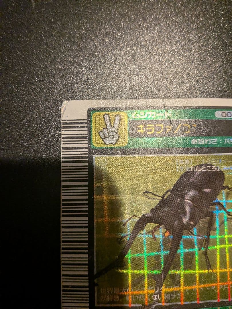 ギラファノコギリクワガタ
