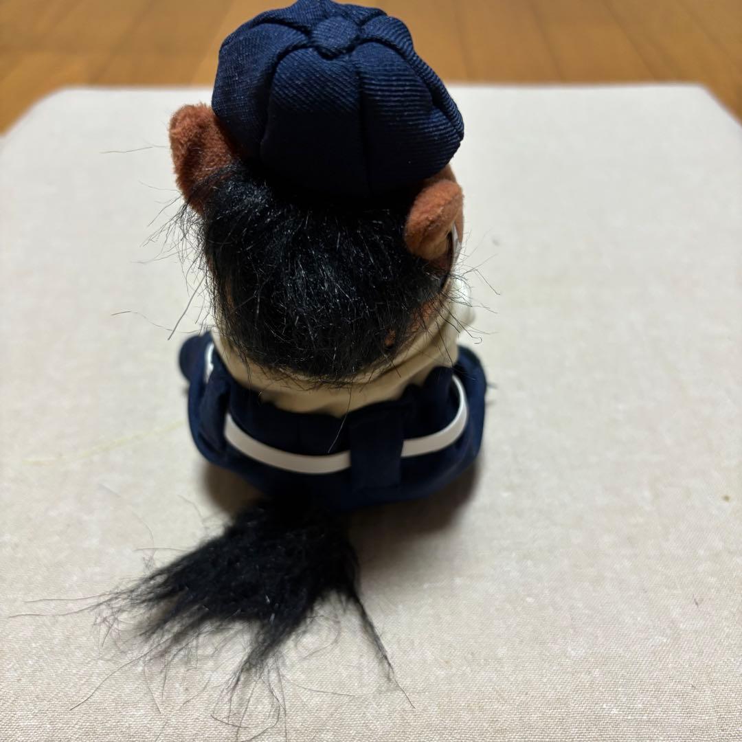 アイドルホース❣️ドレス❣️マント❣️