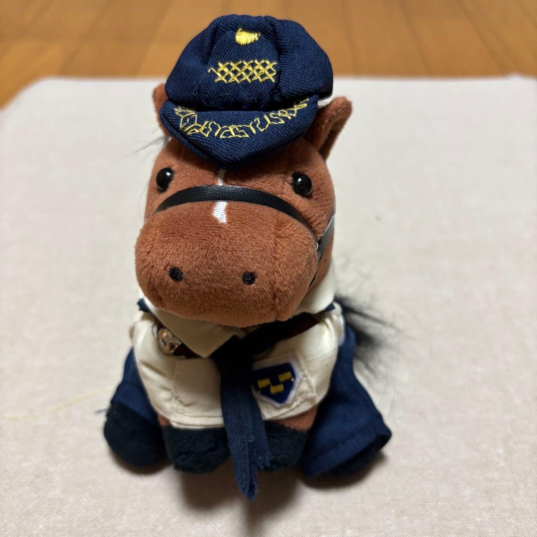 アイドルホース❣️ドレス❣️マント❣️